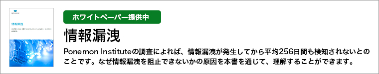 ホワイトペーパー「情報漏洩」